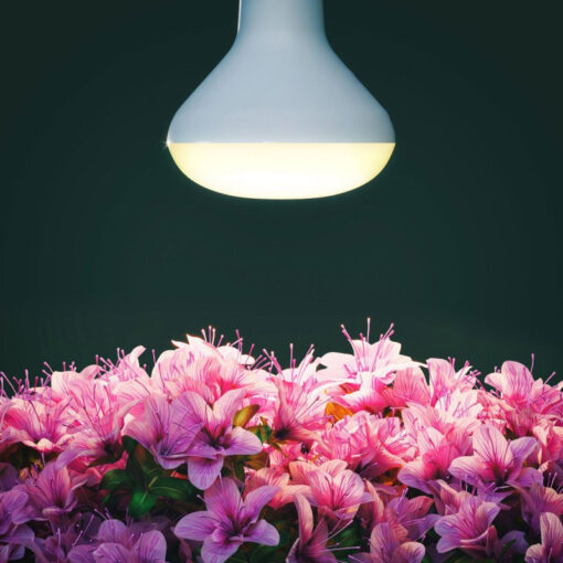 LED žiarovka pre kvitnutie rastlín 12W, E27, IP44 - Image 2