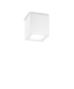 Vonkajšie stropné svietidlo TECHO PL1 SMALL, IP54, biela farba | Ideal Lux